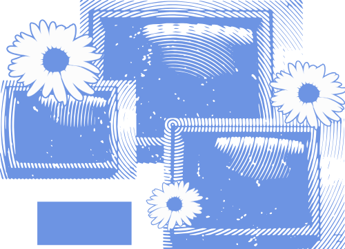 Shape, mảng màu, trừu tượng,  abstract, y2k, hoa, flower, tv, truyền hình, television