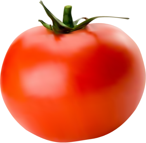 Cà chua, cà, tomato, rau củ