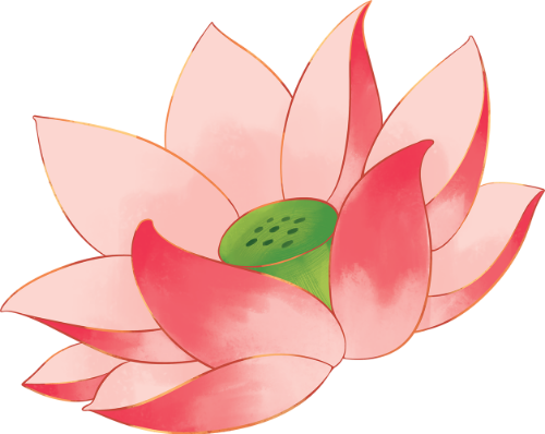 Búp sen, hoa, hoa sen, flower, lotus, lotus bud