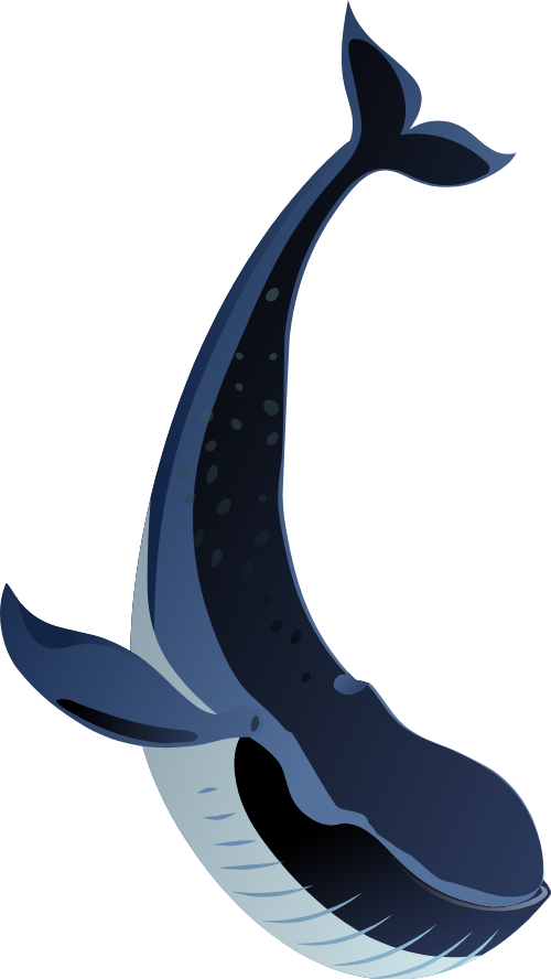Cá, fish, biển, đại dương, sea, ocean, cá mập, shark