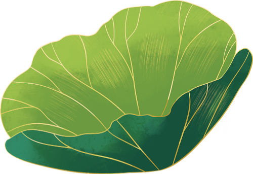 Lá sen, sen, lotus leaf, lotus 3