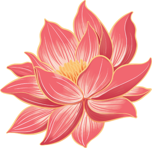 Hoa, hoa sen, flower, lotus 1