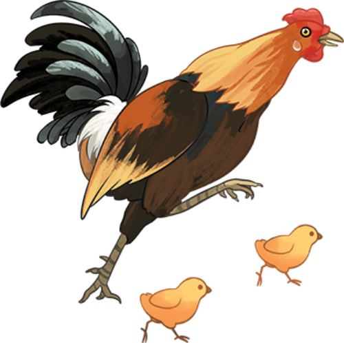 Gà, gà trống, con gà, chicken, chip, gà con, động vật, animal, Việt Nam, watercolor