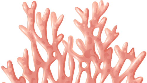 San hô, rong biển, sinh vật biển, coral, seaweed, marine life