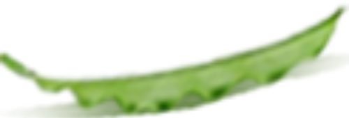 Lá, lá cây, leaf