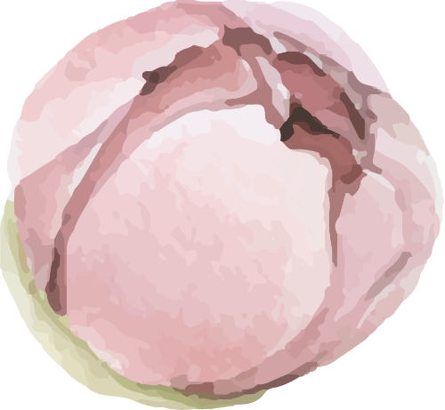 Hoa, flower, cọ, brush, màu nước, water color 2