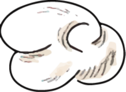 Mây, cloud, line, nét, brush, cọ 4
