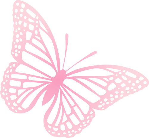 Bướm, bươm bướm, butterfly, động vật, animal