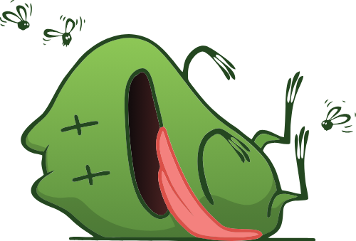 Ếch, con ếch, vui nhộn, frog, funny