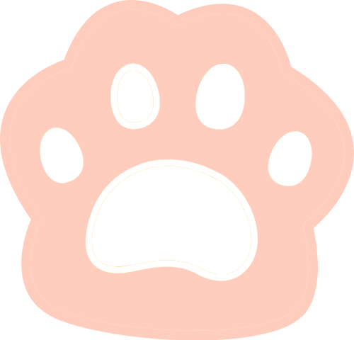 Mèo, cat, bàn tay mèo, bàn chân, bàn tay, động vật, animal, cute, dễ thương