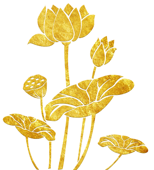 Hoa sen, sen, lotus, búp sen, lá sen, golden, Việt Nam