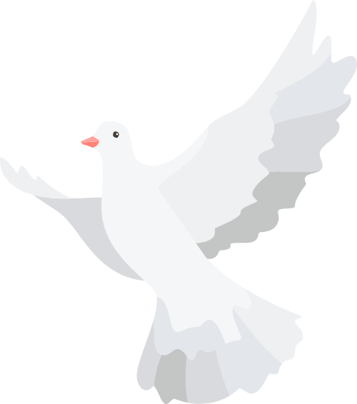 Chim, chim bồ câu, bồ câu, bird, Việt Nam