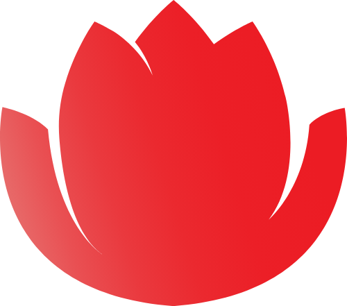 Hoa sen, hoa, flower, , Việt Nam, búp sen, sen, lotus