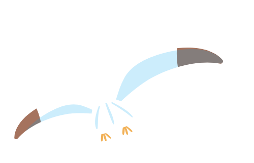 Chim, cò, bird,  stork 1