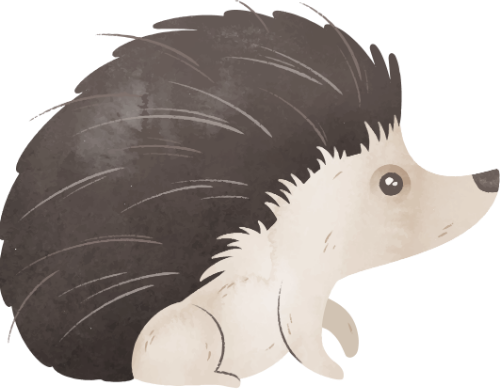 Nhím, con nhím, hedgehog, water color, màu nước, cute, dễ thương