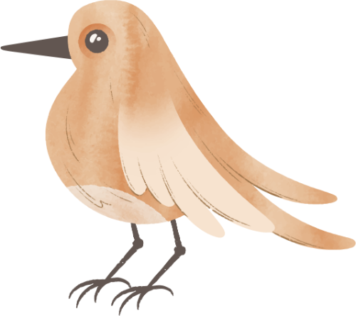 Chim, bird, water color, màu nước, cute, dễ thương