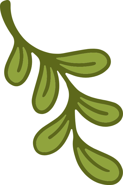 Lá, leaf