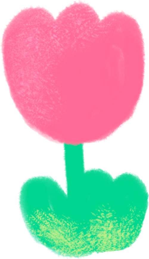 Hoa, hoa tulip, tulip, flower, dễ thương, cute