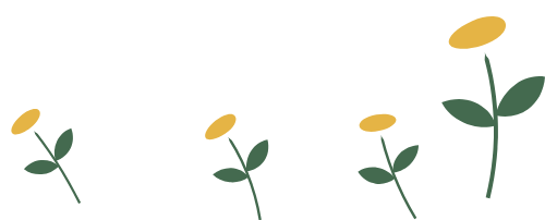 Hoa, flower, hoa cúc, daisy, chrysanthemum 2