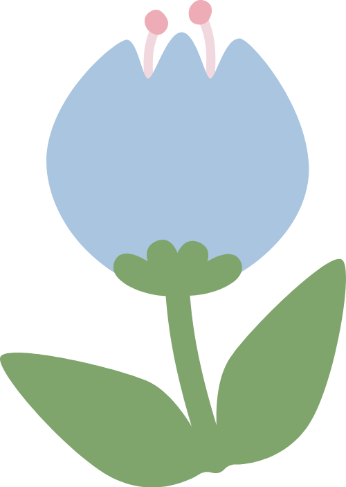 Hoa, flower, tulip, hoa tulip, dễ thương, cute