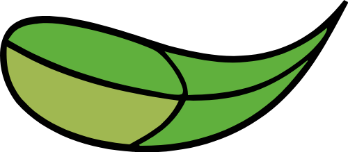 Lá, lá cây, leaf, cute, dễ thương