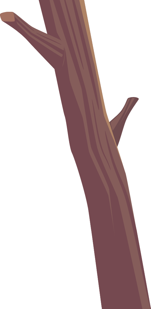 Cây, khúc gỗ, gỗ, tree, log, wood