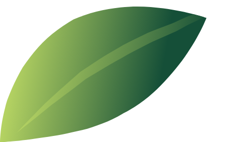 Lá, leaf, gradient