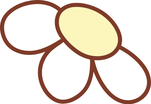 Hoa, flower, dễ thương, cute