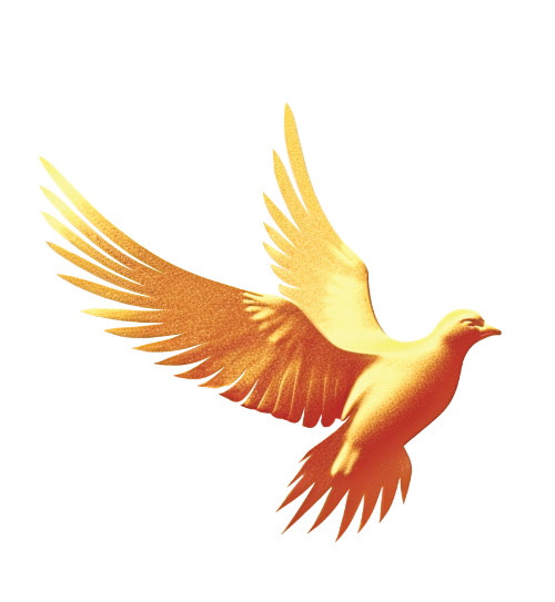 Chim, bồ câu, vàng, bird, dove, gold