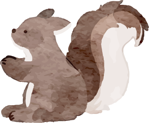 Sóc, con sóc, squirrel, water color, màu nước, cute, dễ thương