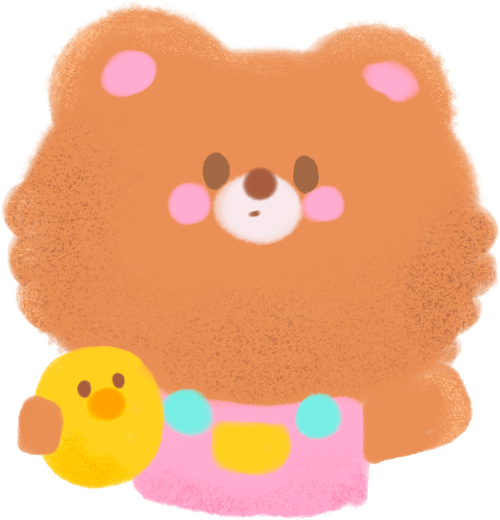 Gấu, bear, vịt, con vịt, duck, dễ thương, cute