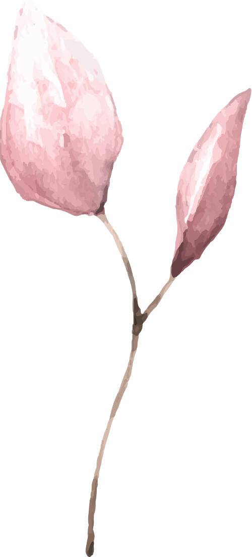 Lá, leaf, cọ, brush, màu nước, water color 6