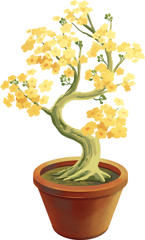 Hoa mai, chậu hoa, apricot blossom, flower pot, gia dụng,  household appliances, trung thu, mid-autumn festival