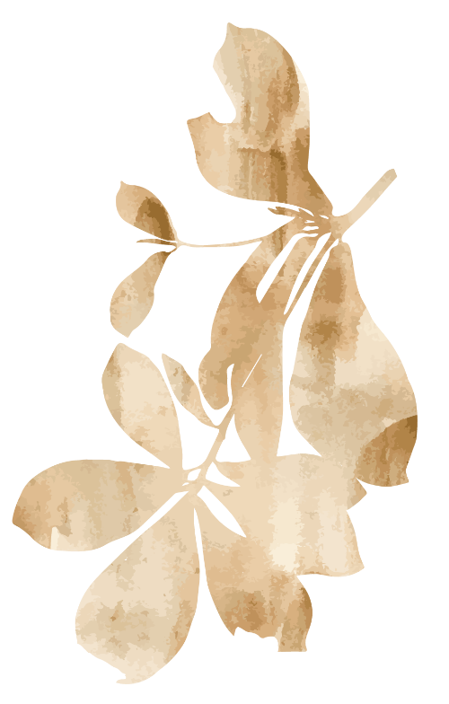 Hoa, flower, lá, leaf, hoa lá, watercolor, màu nước, gradient 3