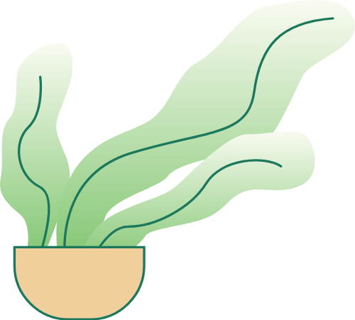 Cây, chậu hoa, tree, flower pot