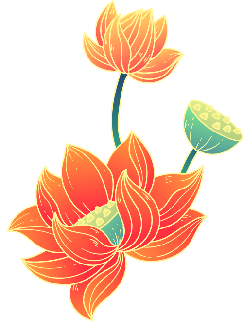 Sen, lotus, hoa, flower, trung thu, mid autumn, gradient