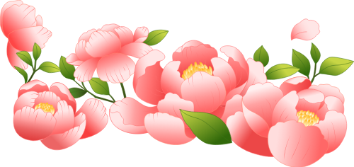 Hoa, flower, hoa hồng, gradient