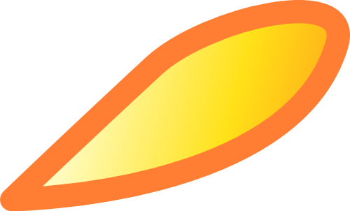 Hoa, hoa mai, flower, hoa vàng, yellow 9