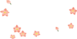 Lồng đèn, trung thu, mid-autumn festival, lantern 4