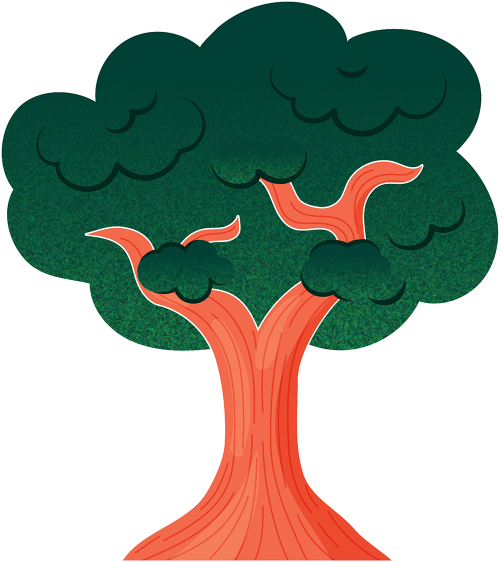 Cây, tree