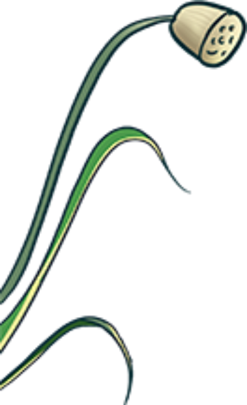 Lá, leaves, cỏ, grass 1