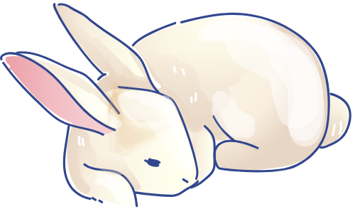 Thỏ, bunny, rabbit, động vật, animal 1