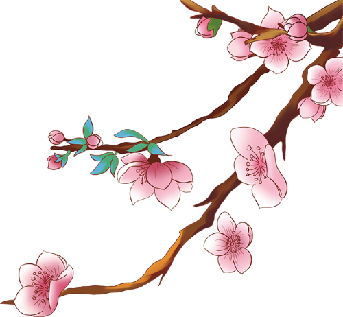 Hoa đào, hoa, peach blossom, flower