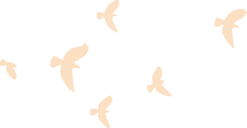 Chim, bầy chim, đàn chim, birds, flock of birds
