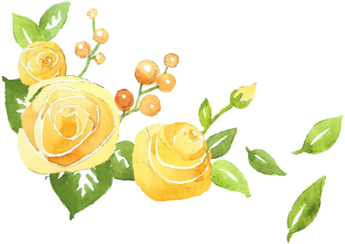 Hoa, hoa hồng, hoa hồng vàng, rose, yellow rose, yellow, flower, watercolor, màu nước 1