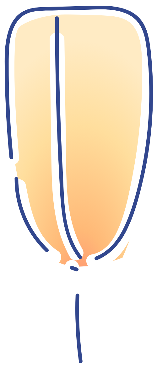 Lồng đèn, lantern, trung thu, mid-autumn festival