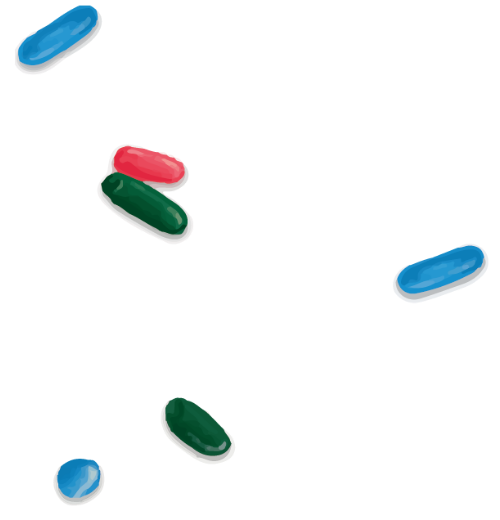 Kẹo, kẹo cốm, candy, rice candy 1