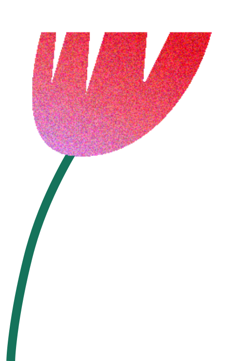 Hoa, flower