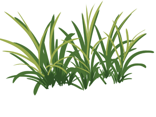 Cỏ, grass, cây xanh, tree, thiên nhiên
