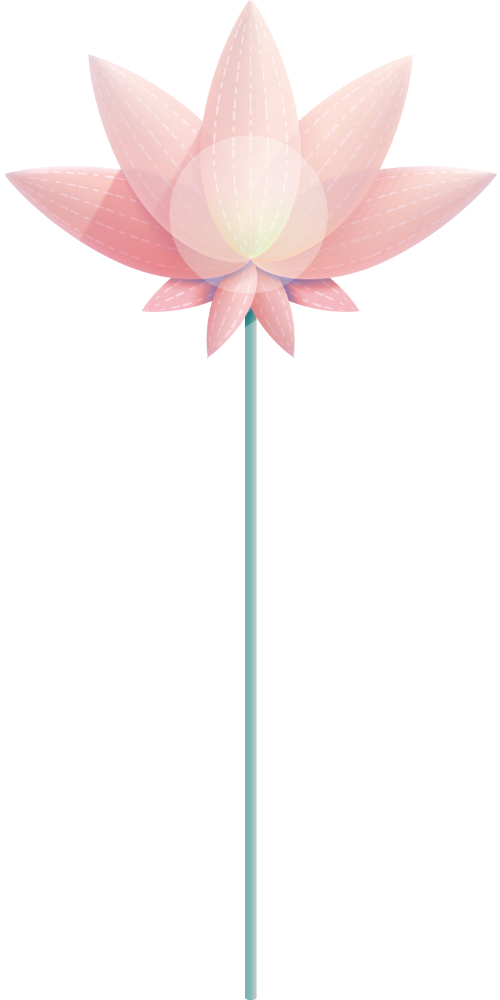Sen, lotus, hoa, flower, trung thu, mid autumn